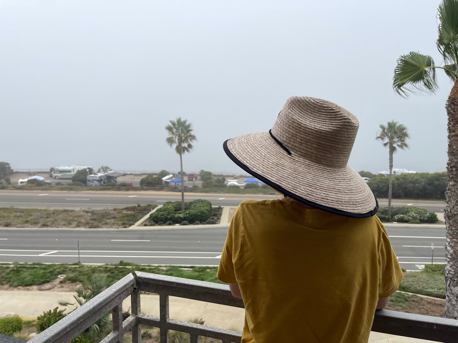 A person in a wide-brimmed straw hat and mustard shirt looking out toward a soft, overcast coastline framed by palm trees.