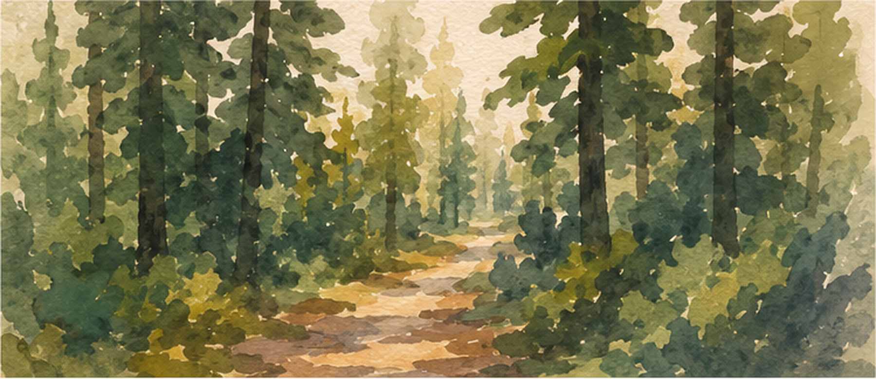 Soft morning light filtering through misty forest trees, a calm visual invitation to ground and settle